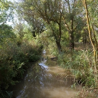 Photo de France - La randonnée de la Tamarissière